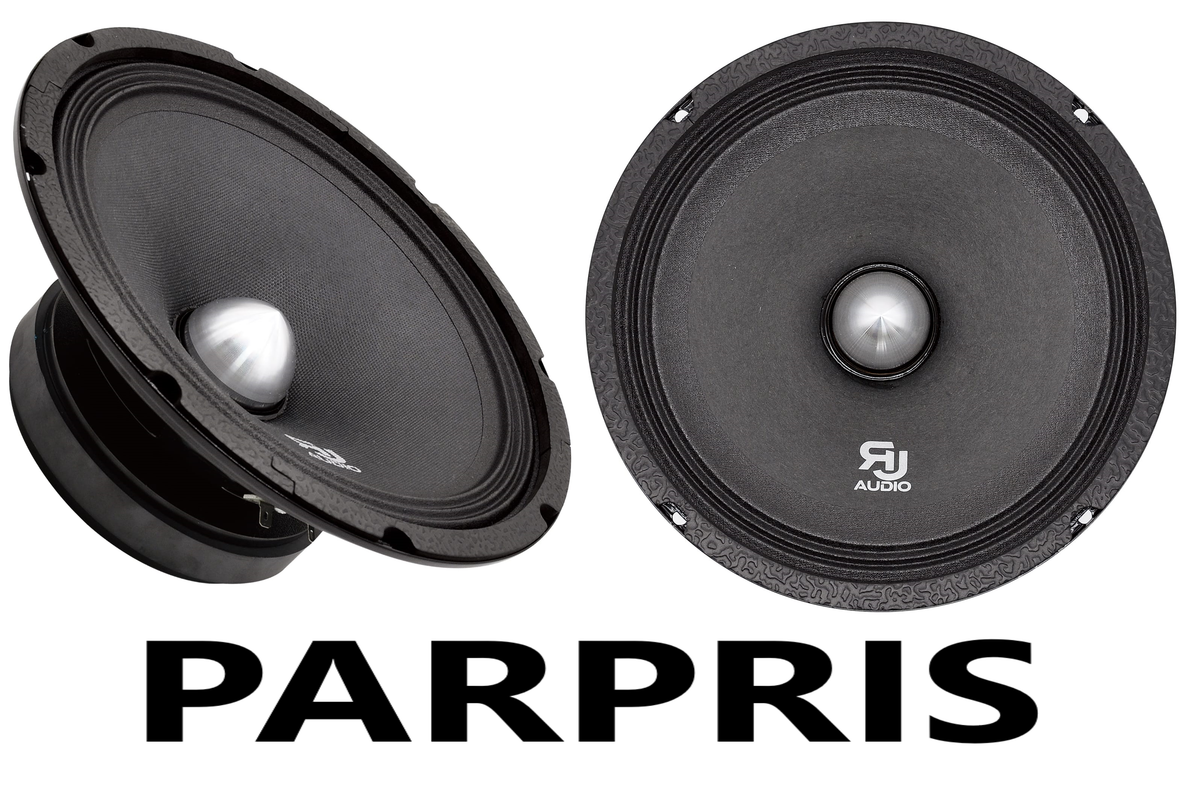 RJ Audio RJM 10.1